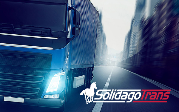 Solidagotrans